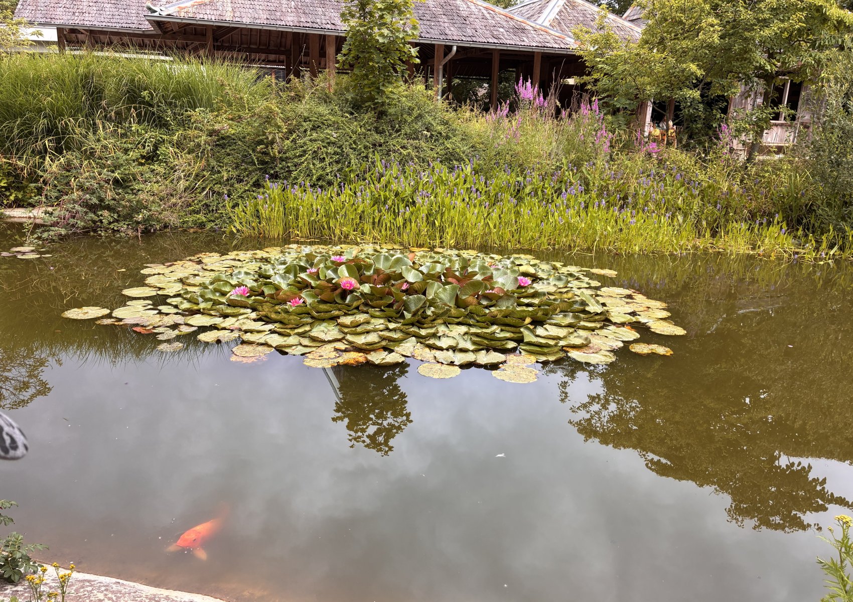 image 28